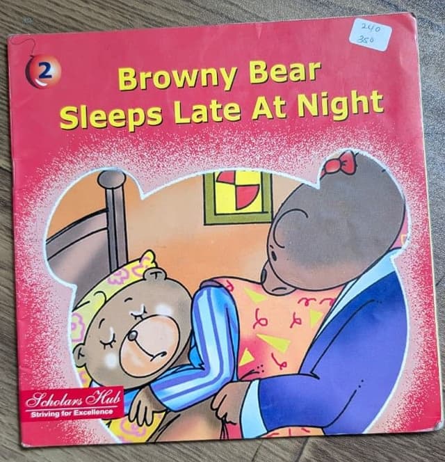 Browny Bear Sleeps Late At Night